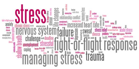 Drug and Alcohol Rehabilitation Geelong and Barwon Shire